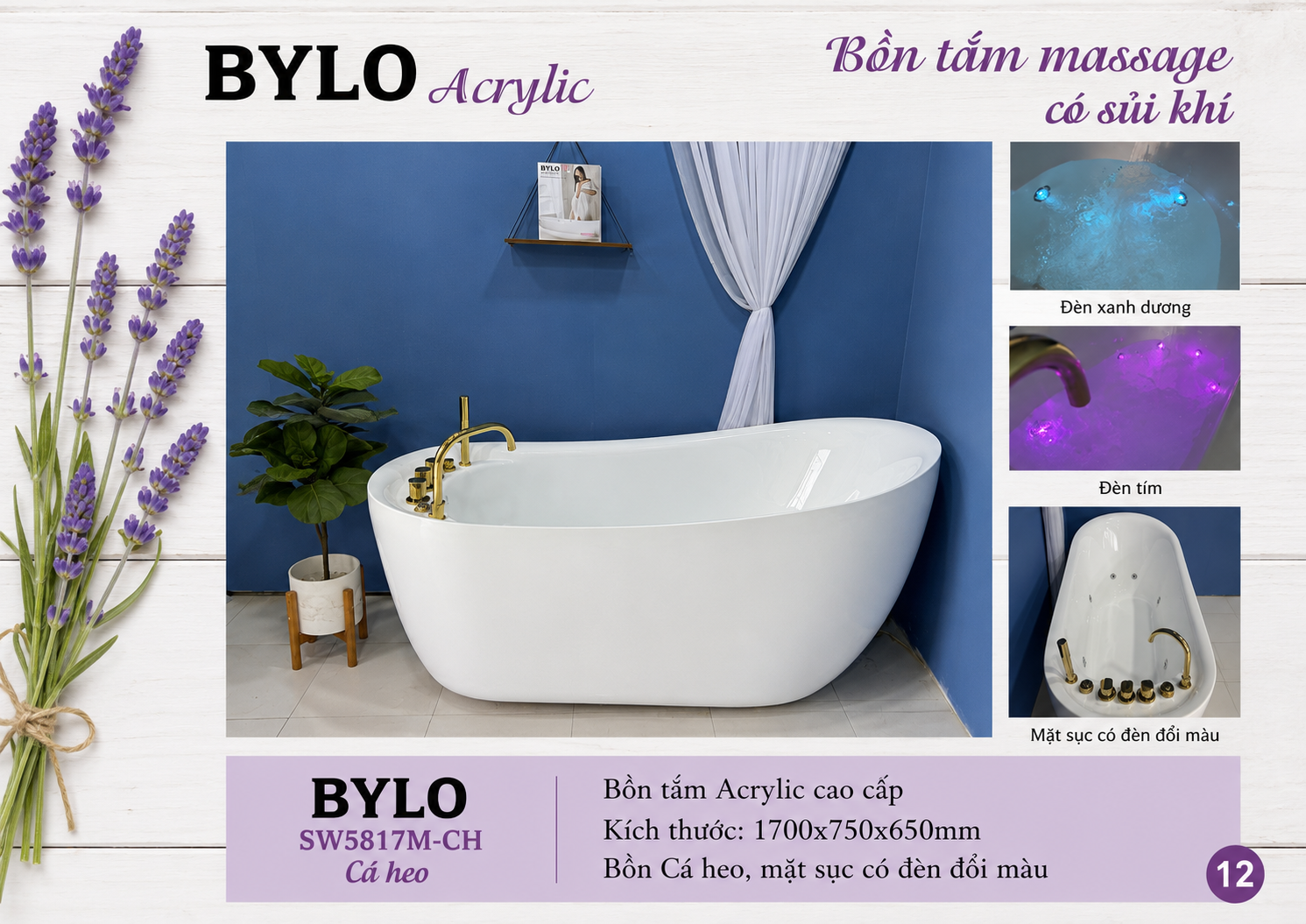 BYLO SW5817M-CT CÁ HEO