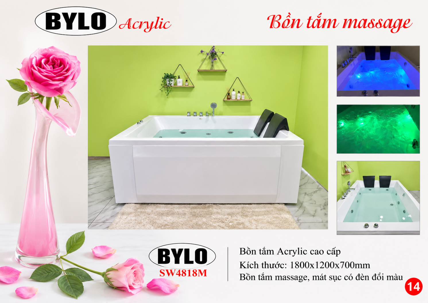 BYLO SW4818M