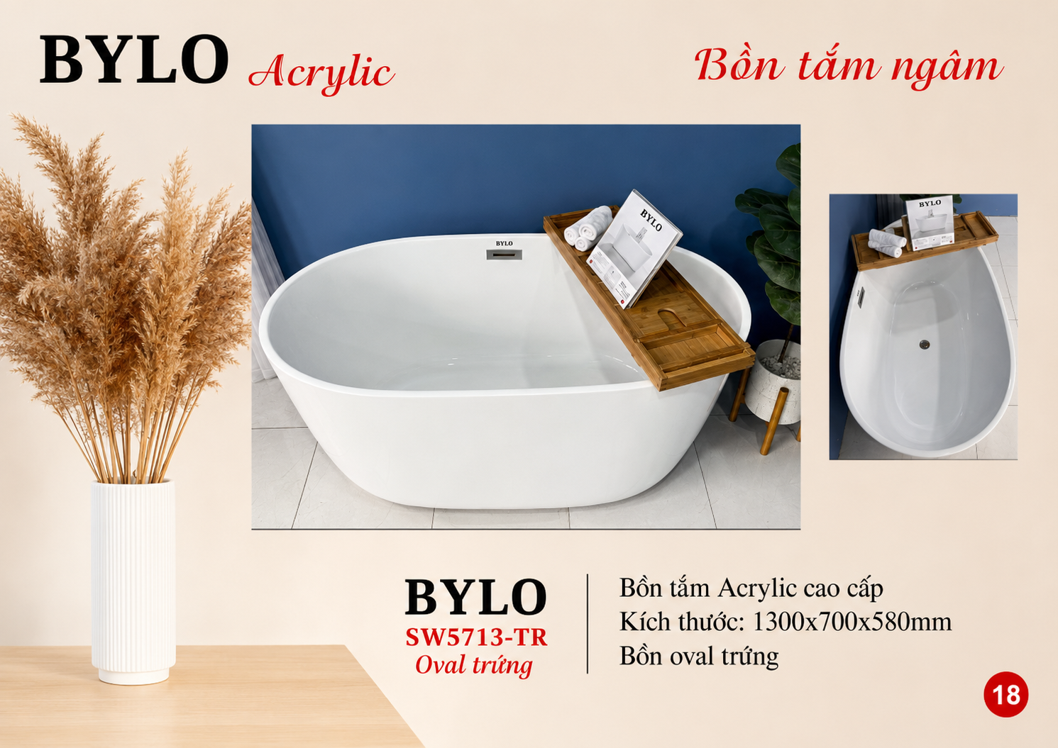 BYLO SW5713-TR